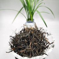 云南野外非种植老树晒红