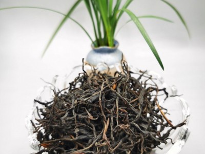 云南野外非种植老树晒红图2