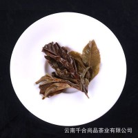 批发云南白茶 小户赛古树白 香甜醇厚兰香韵足 普洱茶357克七子饼