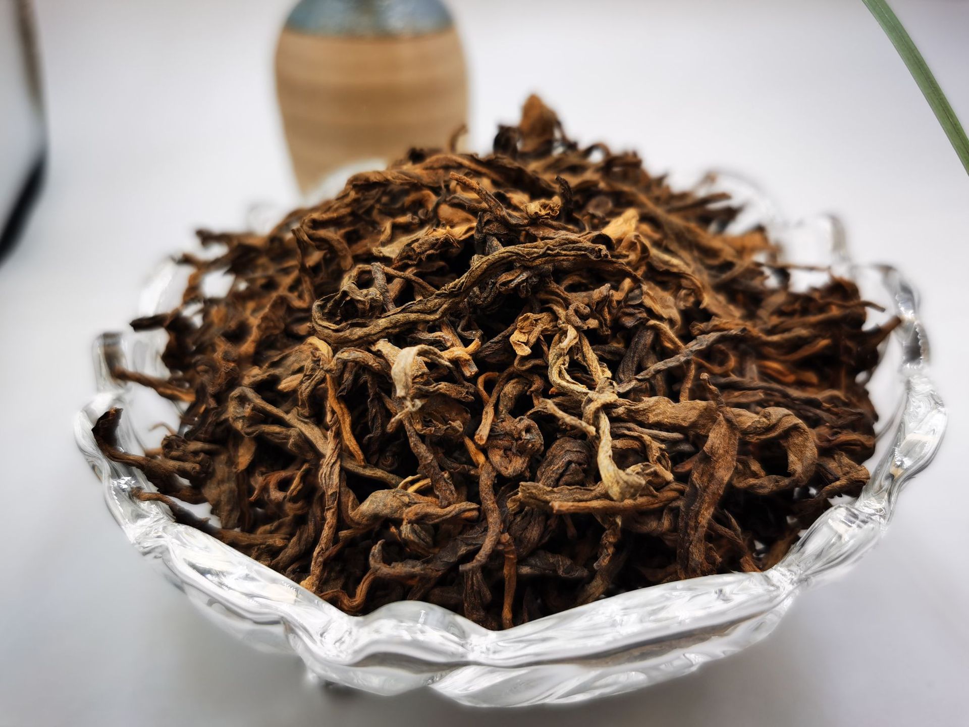 老树熟普