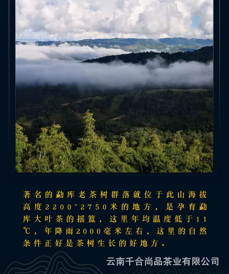 大雪山龙珠详情页1_04