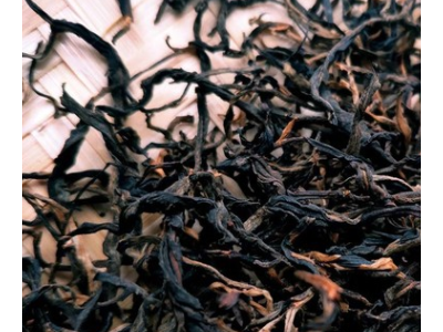 云南厂家直发单株老树晒红 红茶 普洱茶一手货源图5