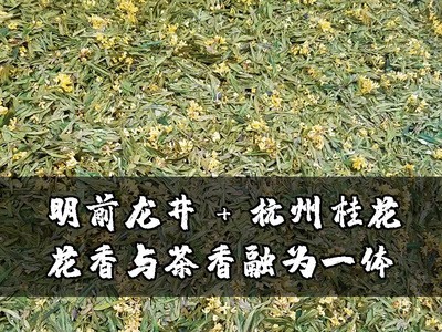 桂花龙井新茶 2021杭州本地桂花明前样品龙井绿茶叶 散茶批发500g图3