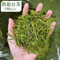 2021新茶雨前AAA毛峰白茶一件代发货源500g散装批发浓香型绿茶叶