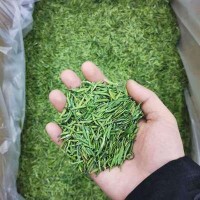 2020年新绿茶 竹针茶 早白尖芯子 四川雅安 怡宏 厂里可定做 250g