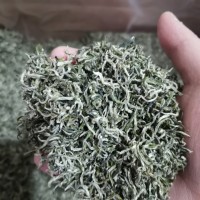 怡宏 早春明前茶 碧螺春四川茶雅安峨眉宜宾 批发250g 2021年