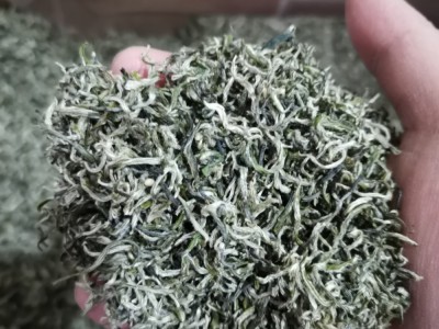 怡宏 早春明前茶 碧螺春四川茶雅安峨眉宜宾 批发250g 2021年图5