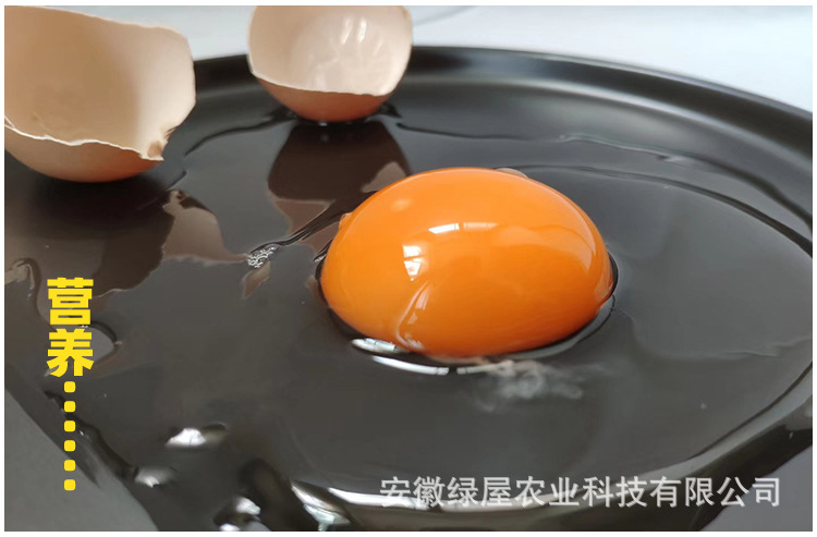 土鸡蛋详情页_15.jpg
