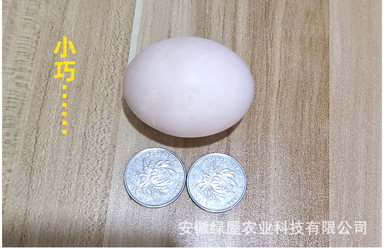 土鸡蛋详情页_13.jpg
