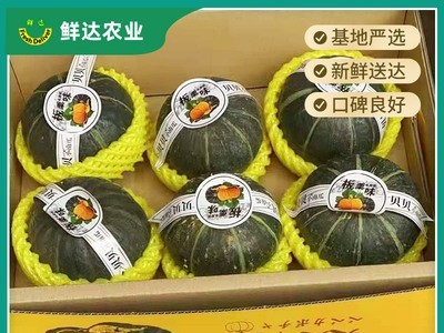 湖南批发板栗贝贝南瓜礼盒装（4-7个）板栗味贝贝南瓜批发 南瓜图2