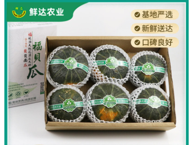 贝贝南瓜礼盒装 鲜达农业基地直供贝贝南瓜批发 板栗味南瓜图2