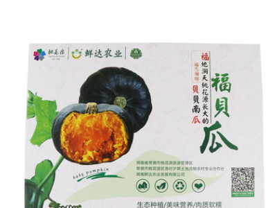 贝贝南瓜礼盒装 鲜达农业基地直供贝贝南瓜批发 板栗味南瓜图3