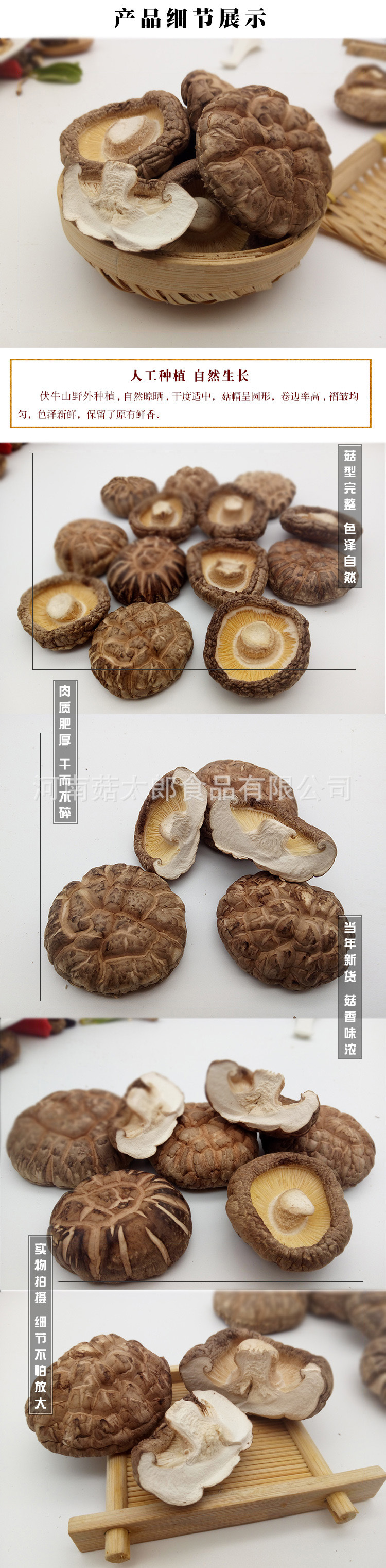 茶花菇.jpg