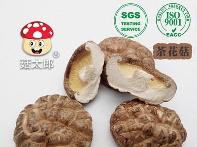 菇太郎茶花菇干货干香菇农家特产冬菇蘑菇3-4CM出口可做商检500g图3