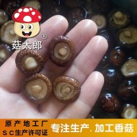 菇太郎香菇批发西峡特产金钱菇袖珍菇农家干货SC认证可出口商检