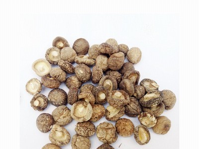 菇太郎香菇批发西峡特产金钱菇袖珍菇农家干货SC认证可出口商检图4