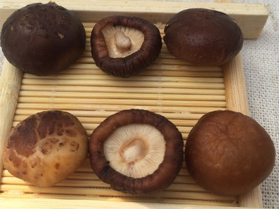 菇太郎香菇批发西峡特产金钱菇袖珍菇农家干货SC认证可出口商检图3