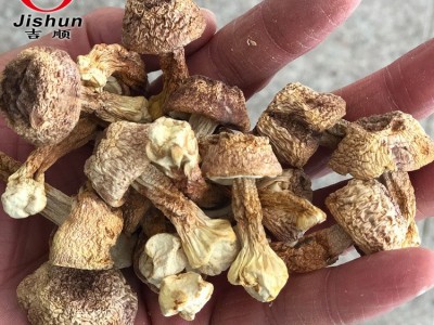 吉顺福建姬松茸干货 姬松茸干货菌巴西蘑菇新货无熏原色500g图5