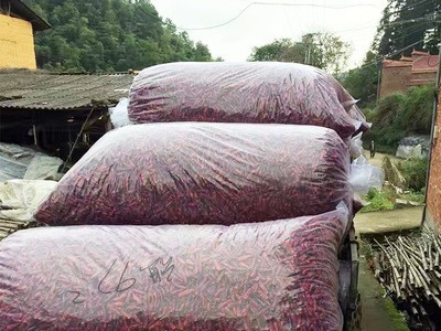 吉顺福建古田特产辣椒朝天椒 干卤味鸭掌鸭脖原材料调味品供图2