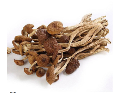 茶树菇新货古田特产 茶树菇不开伞特产批发 干货散装无熏厂家批发图4