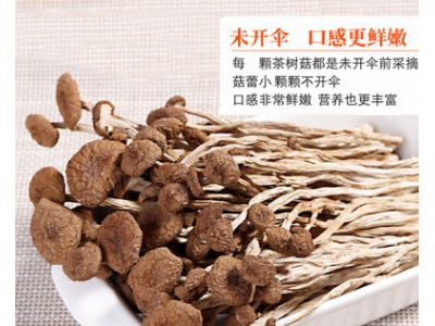 茶树菇新货古田特产 茶树菇不开伞特产批发 干货散装无熏厂家批发图2