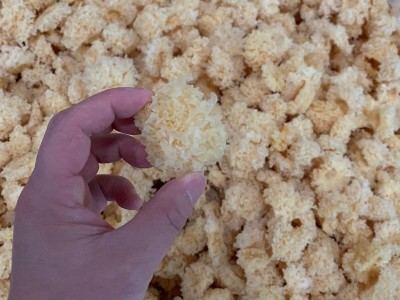 椴木银耳500g 小银耳干货 举报 本产品不支持七天无理由退货图4