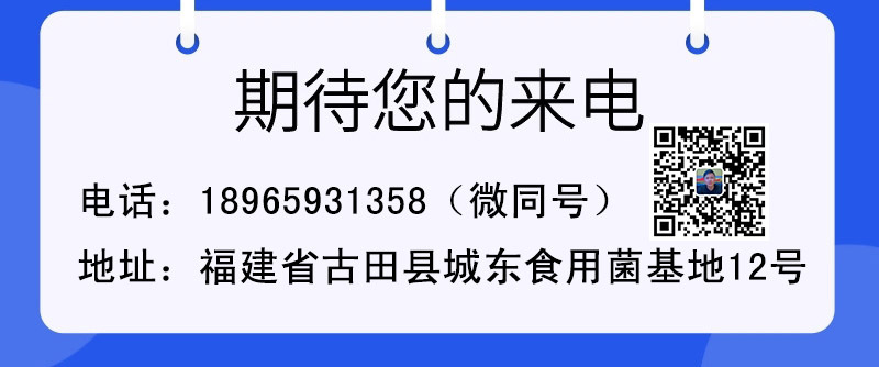微信号