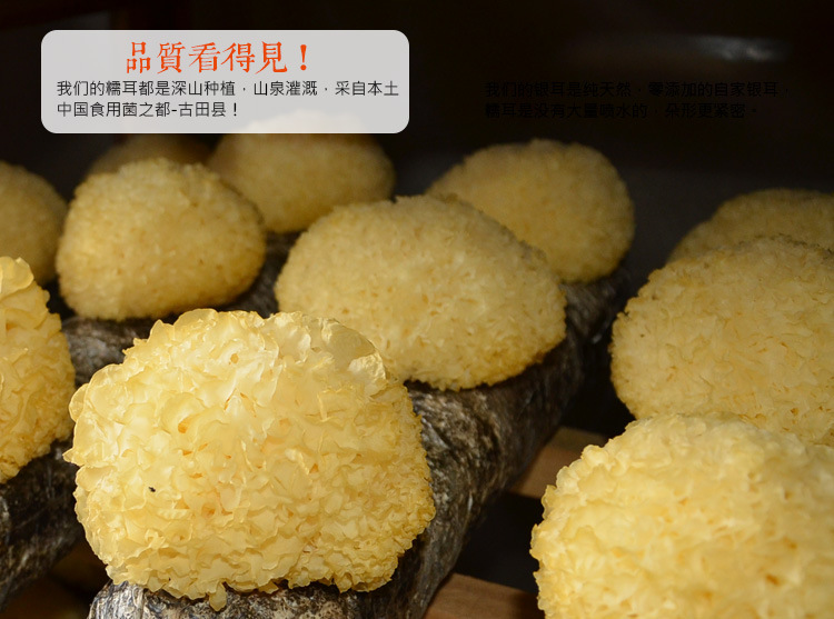 重做丑耳_09