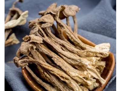 鹿茸菇干货500g 鹿茸菌产地批发图2