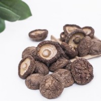 产地直供古田特产食用菌冬菇剪脚肉厚干香菇500克