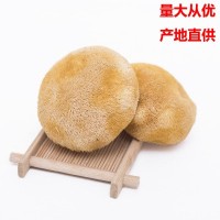 古田猴头菇食用菌产地批发猴头菇散装500g