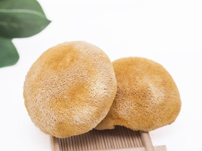古田猴头菇食用菌产地批发猴头菇散装500g图3