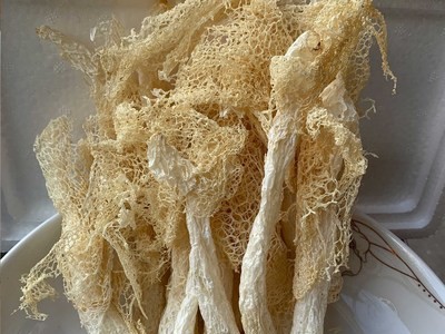 产地直发福建古田竹荪无硫 菌菇干货 竹荪干货批发50g 批发图4