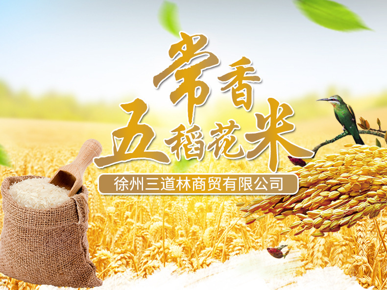 详情_01