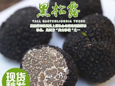 新鲜黑松露云南特产食用菌散装松露鲜货菇块菌猪拱菌煲汤食材批发图2