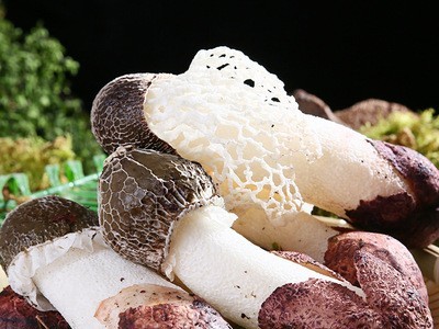 云南特产新鲜竹荪500g散装食用菌竹荪煲汤食材产地批发菌菇鲜货图2