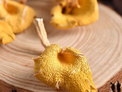 2021新货鸡油菌云南产地直供黄金菇去底汤包食材菌菇走量批发100g图3