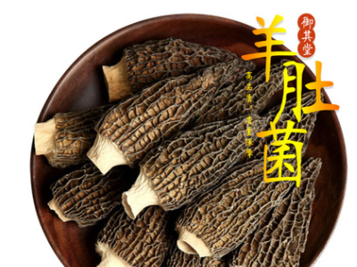 产地货源羊肚菌干货剪脚云南直供菌菇土特产煲汤现货批发诚招代理图2