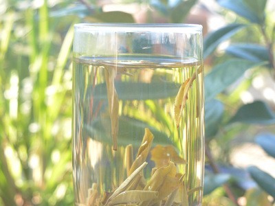 2021新茶广西横县茉莉花茶凤尾针散装茶叶批发产地直发图3