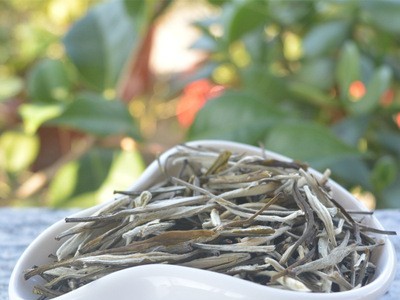 2021新茶广西横县茉莉花茶凤尾针散装茶叶批发产地直发图4