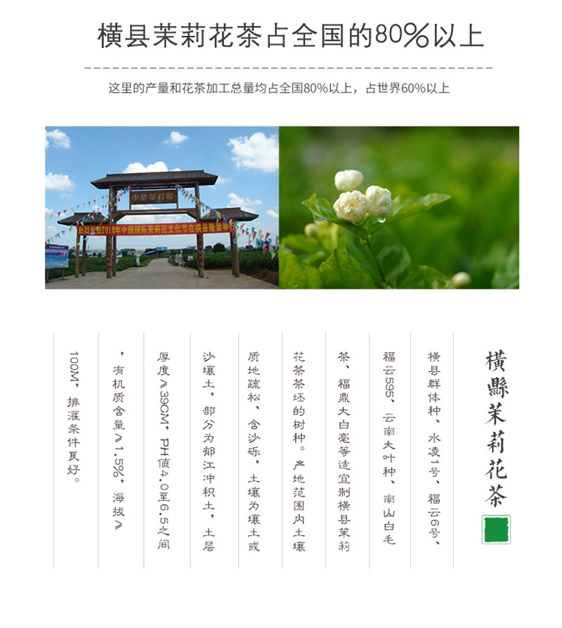 横县茉莉花茶