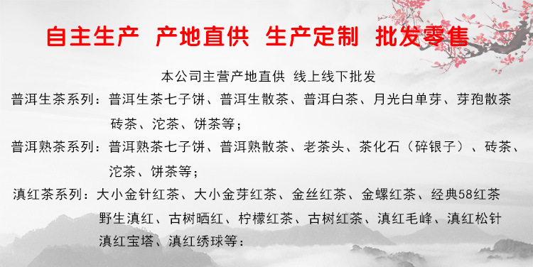 公司主营说明
