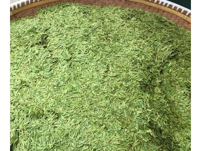 新浓香型巨佳龙井茶250g雨前绿茶杭州特产 牛皮纸包装龙井批发图3