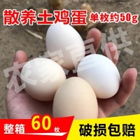 鸡蛋整箱60枚土鸡蛋基地直供 农家散养破损包赔 笨鸡蛋柴鸡蛋批发