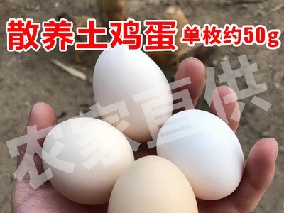 鸡蛋整箱60枚土鸡蛋基地直供 农家散养破损包赔 笨鸡蛋柴鸡蛋批发图4