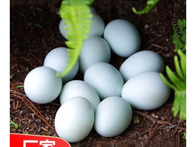 我老家土鸡蛋50枚 鸡场直销农家散养绿壳土鸡蛋批发一件代发图4