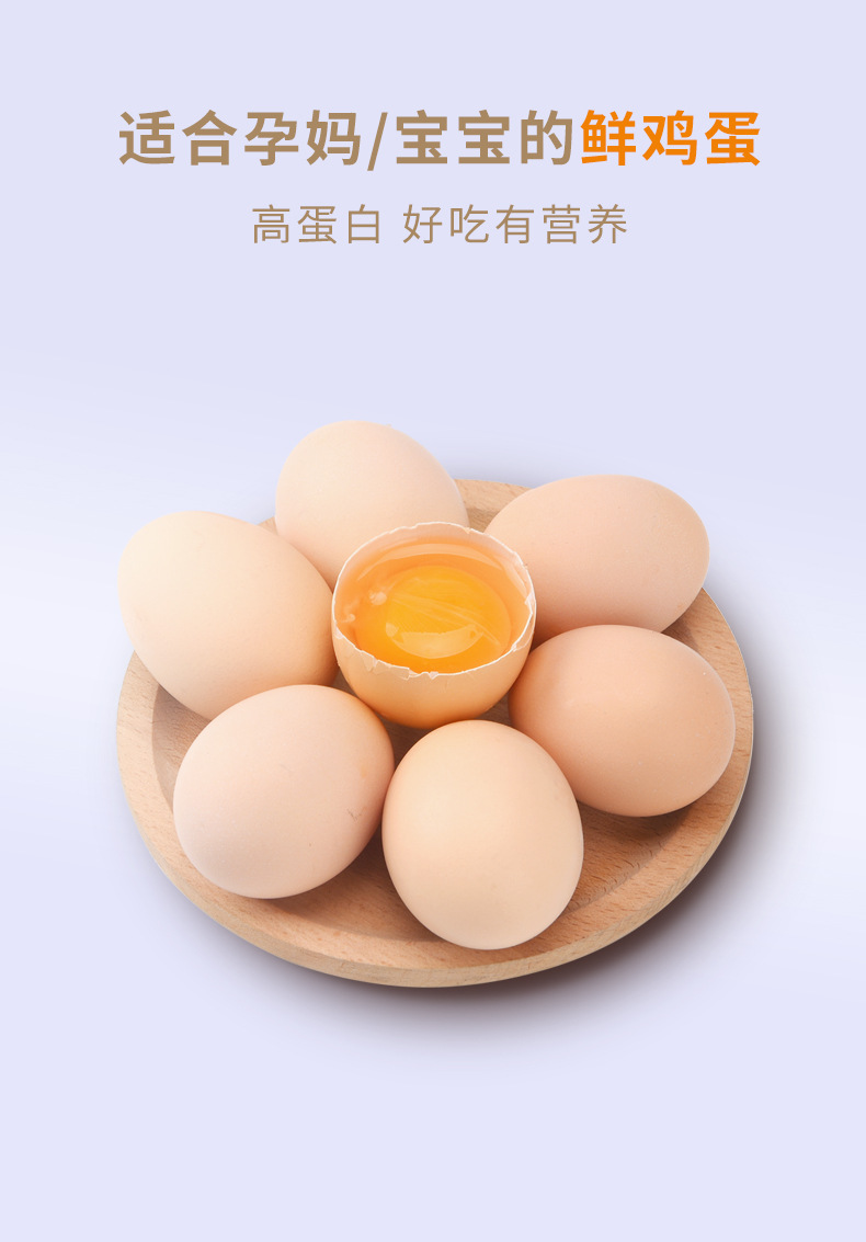 鸡蛋_03