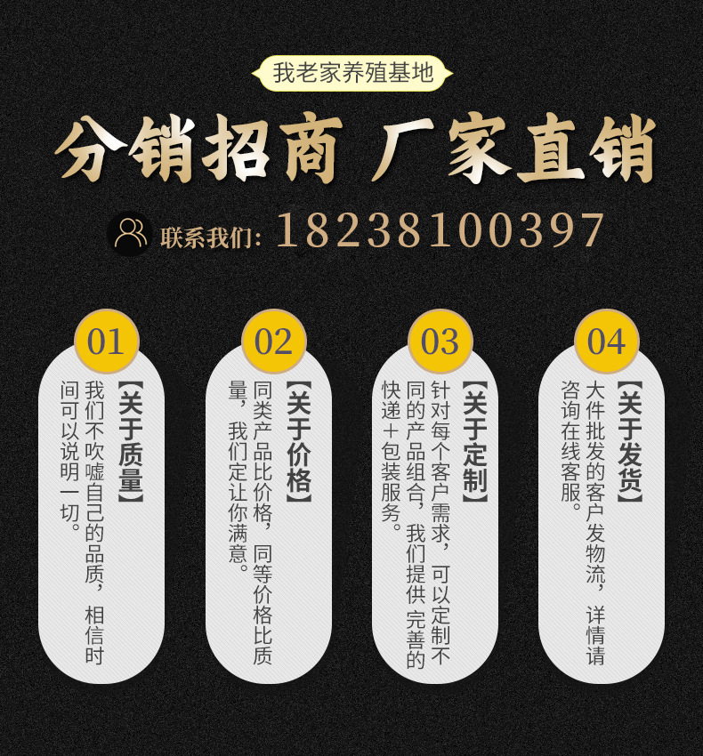 分销招商