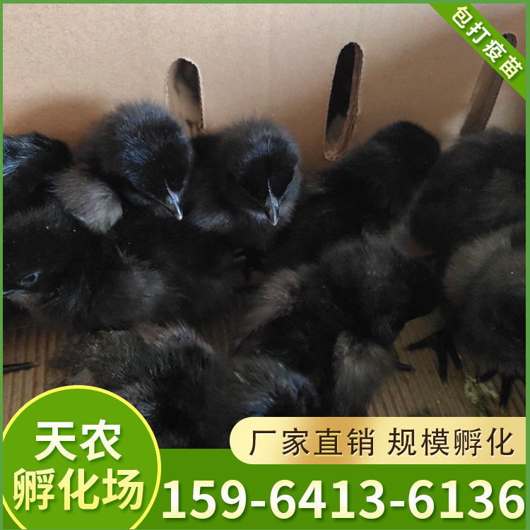 详情页5_05.jpg