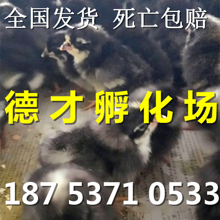 微信图片_20180415145113_副本.jpg